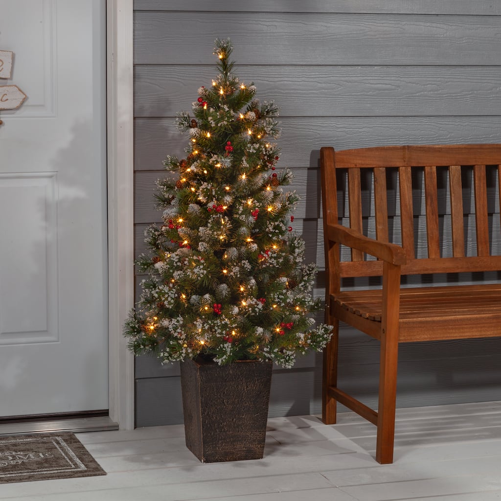 Elegant 4 Foot Potted Mixed Needle Glacier Pine