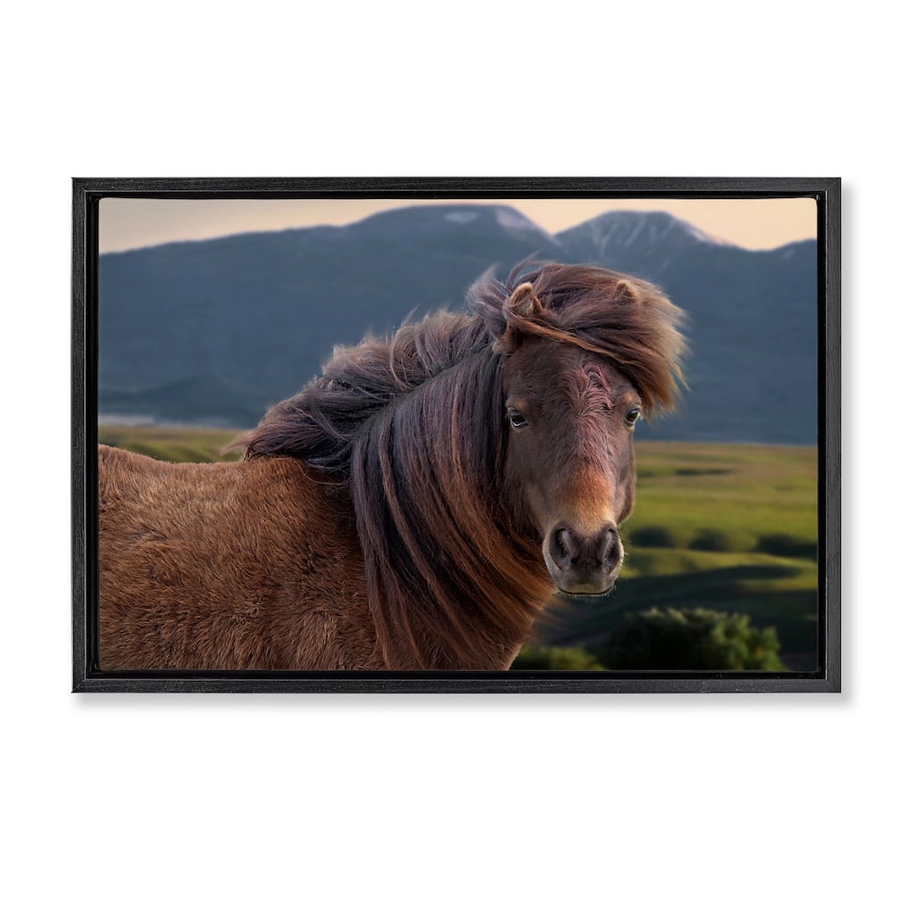 Stupell Windblown Mare in Mountain Valley Framed Floater Canvas Wall Art Design By Steve Toole