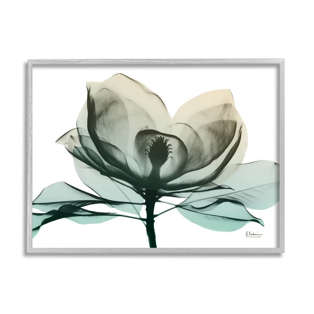 Stupell Green X-Ray Flower Framed Giclee Art Design by Albert Koetsier
