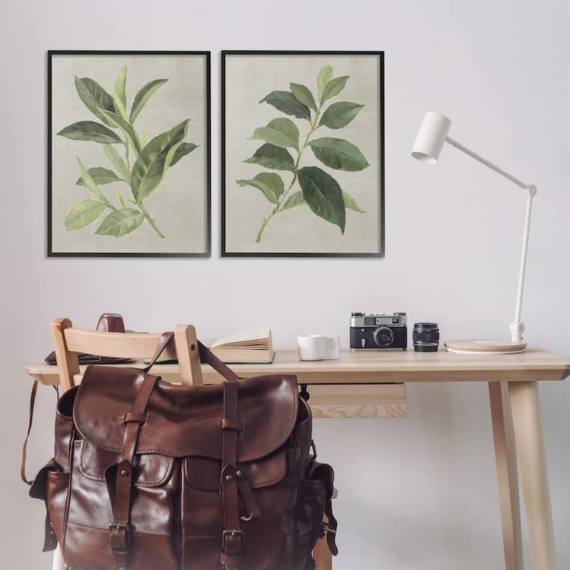 Stupell Green Tea & Coffee Plant Leaves Framed Giclee Art Design By Lanie Loreth (Set of 2)