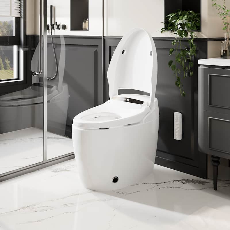 Smart Toilet with Heated Seat & Warm Air Dryer, Auto Flush One Piece Toilet with Night Light, Self Cleaning Nozzle