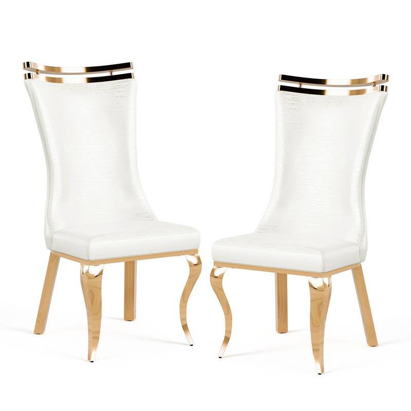 Furniture of America Thaddeus Glam Stainless Steel Upholstered Dining Side Chair (Set of 2)
