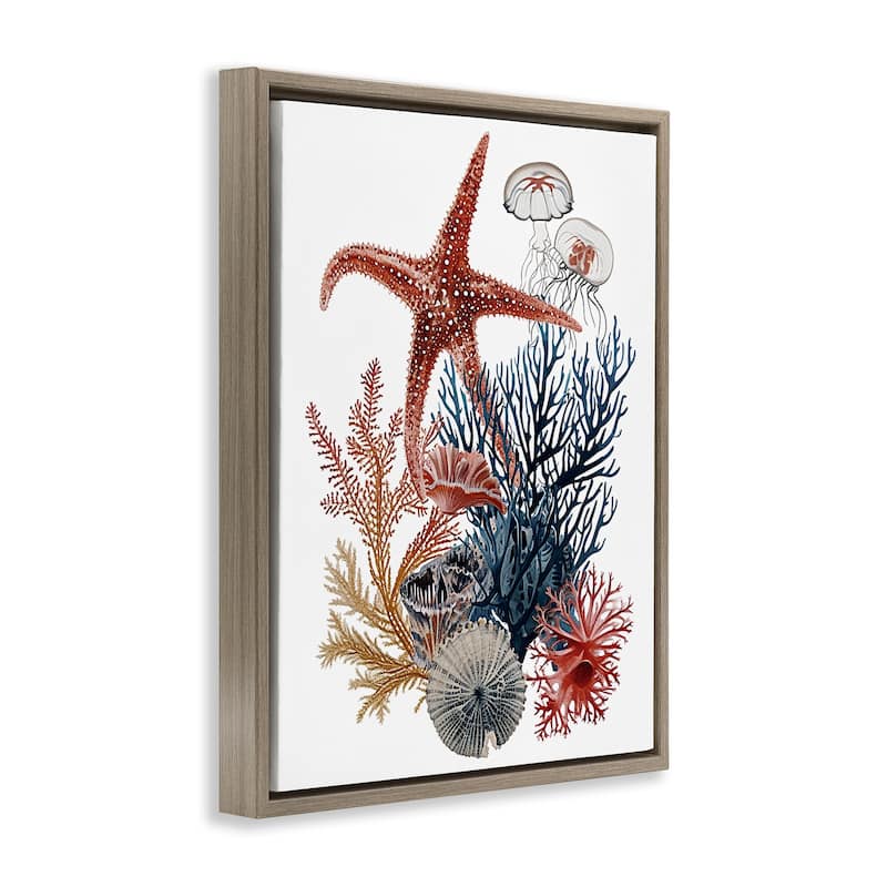 Stupell Natural Aquatic Sea Creatures Framed Floater Canvas Wall Art Design By Ramona Murdock