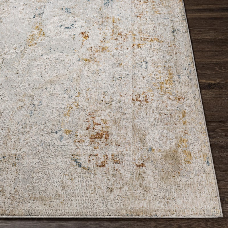 Chadwick Vintage Border Area Rug