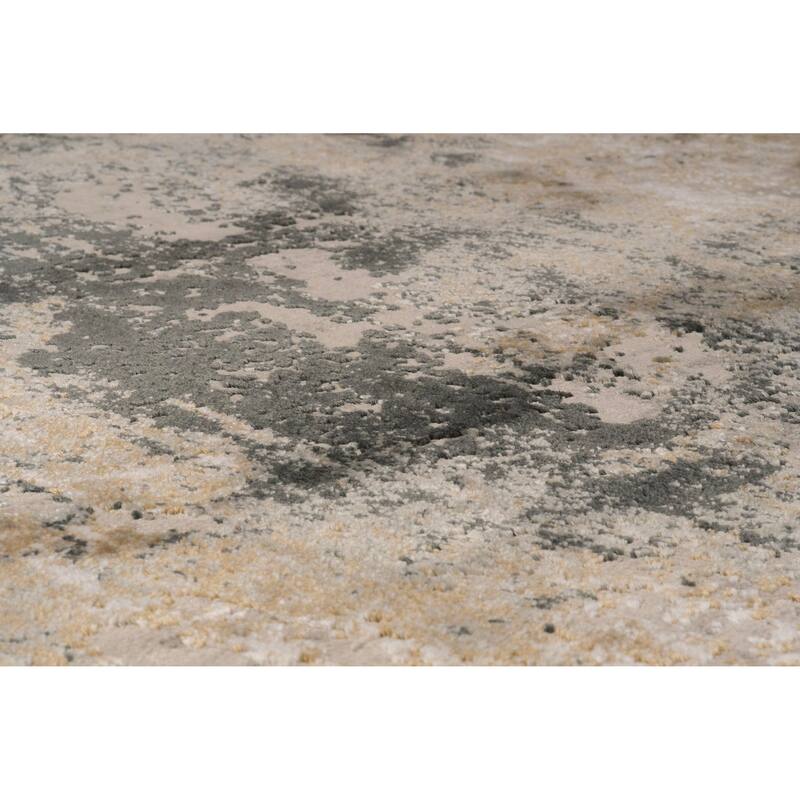 Dynamic Rugs Quartz Traditional Area Rug