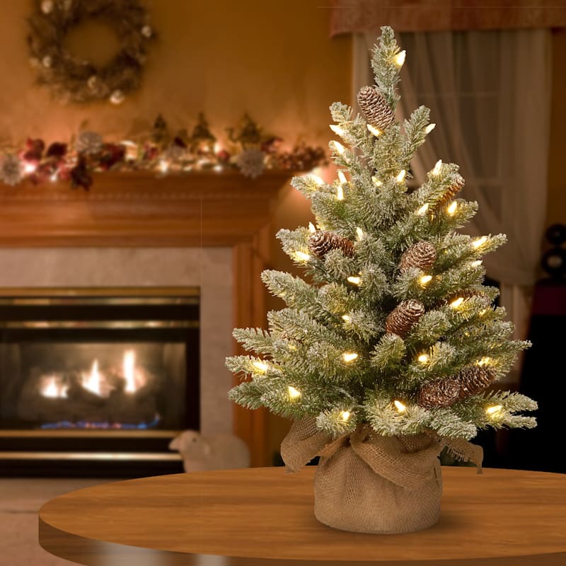 National Tree Company 2 ft. Snowy Concolor Fir Tree with Battery-Operated LED Lights - 2 feet
