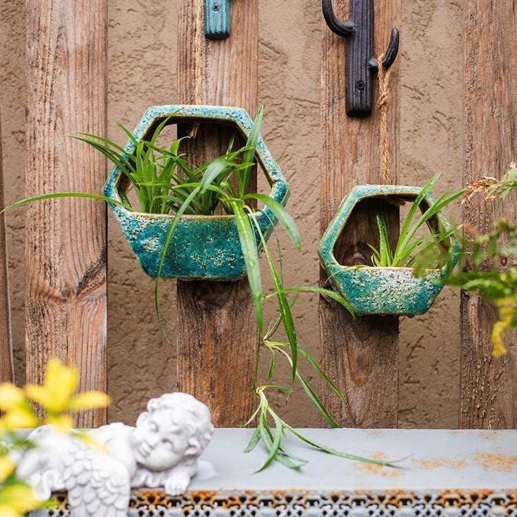 pot for zz plant ZZ Plant in Mega Round Pot – House of Plants main image 0