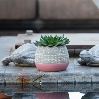 Succulent in 2 TONE Mayan CERAMIC POT,Pink - ONE-SIZE