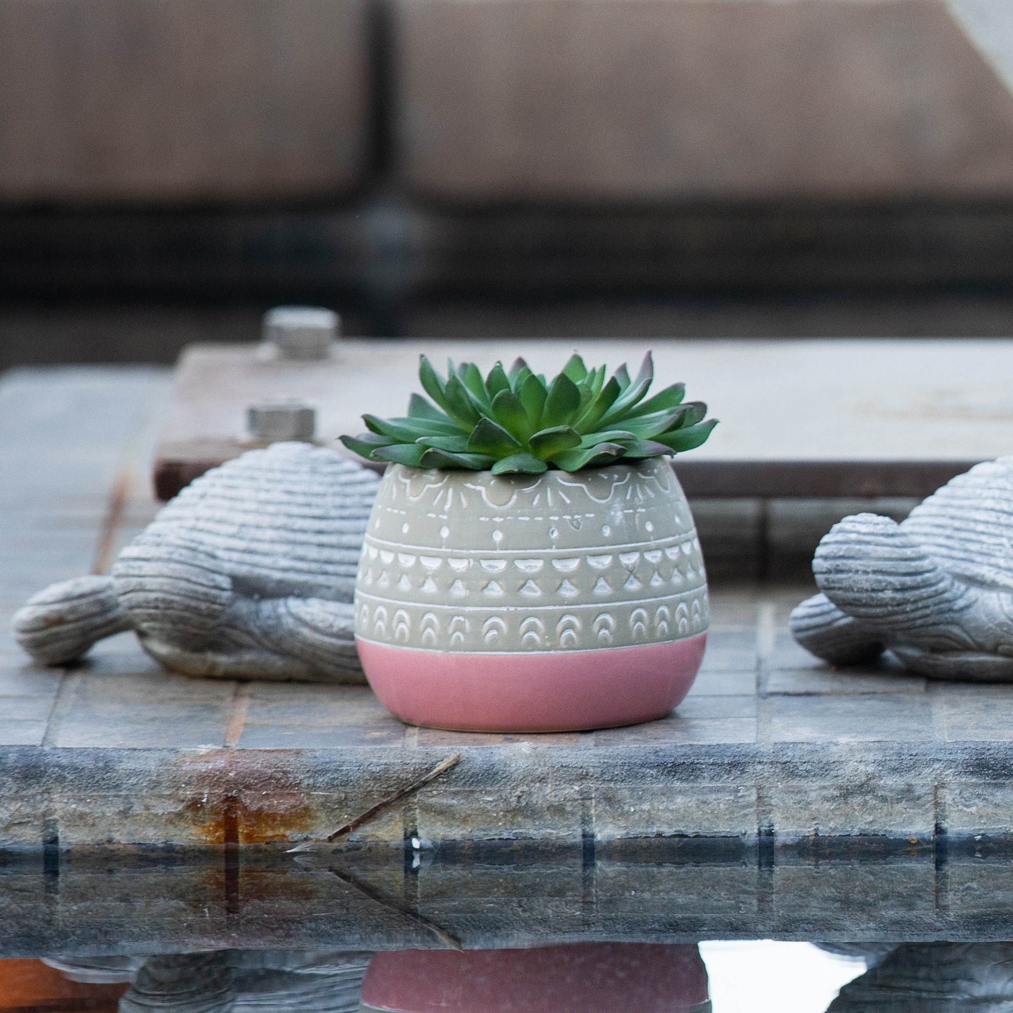 Succulent in 2 TONE Mayan CERAMIC POT,Pink - ONE-SIZE