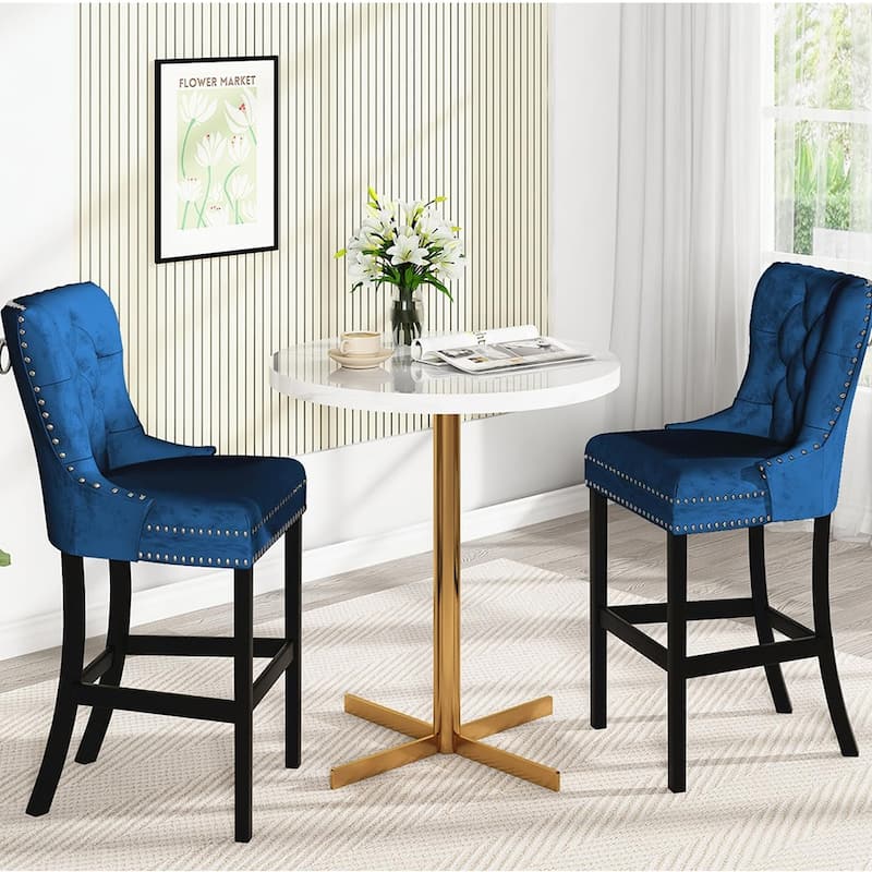 Mieres Farmhouse Kitchen Island Stools, Velvet Tufted Bar Stools with Back and Footrest (Set of 2) - N/A