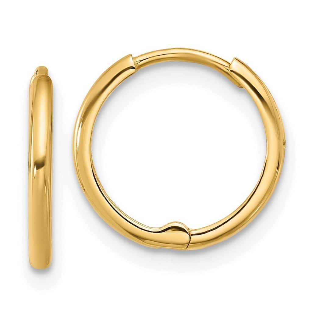 Curata 14k Yellow Gold Polished Hinged Hoop Earrings - 13.3x14mm
