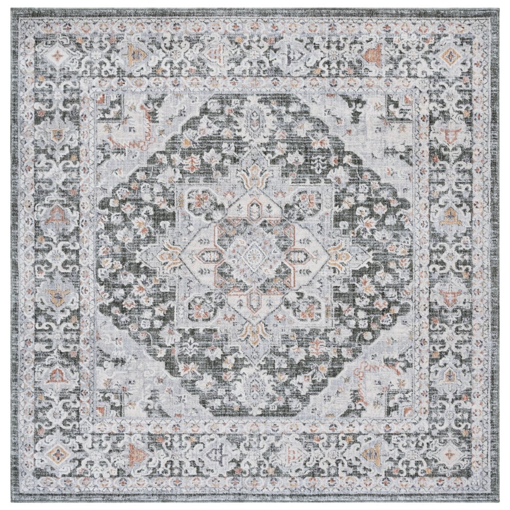 SAFAVIEH Scarlett Sorne Transitional Rug