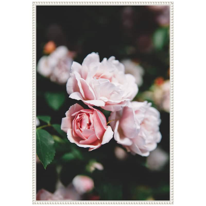Kate and Laurel Sylvie Delicate Light Pink Rose Floral Framed Canvas by Patricia Hasz of Patricia Rae Photography
