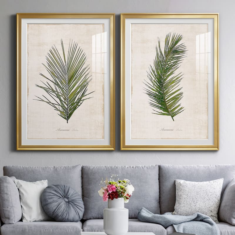 Palm Botanical I Premium Framed Print - Ready to Hang
