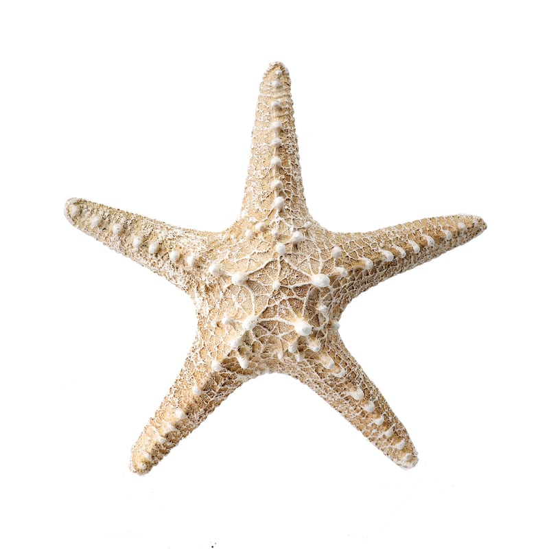 8" Polystone Starfish
