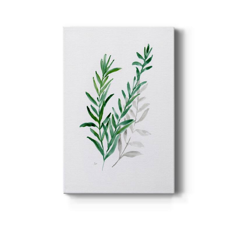 Freshly Picked II Premium Gallery Wrapped Canvas - Ready to Hang