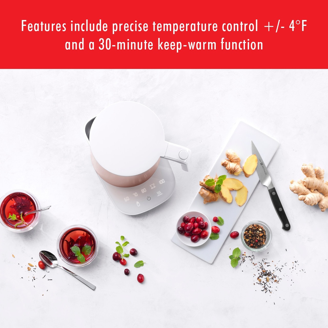 https://ak1.ostkcdn.com/images/products/is/images/direct/2f69a79d74e91e933d9303b01bb6409114037711/ZWILLING-Enfinigy-Cool-Touch-Kettle-Pro.jpg