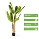 preview thumbnail 15 of 15, Enova Home Realistic Artificial Banana Tree in Nursery Pot for Indoor and Outdoor Decoration