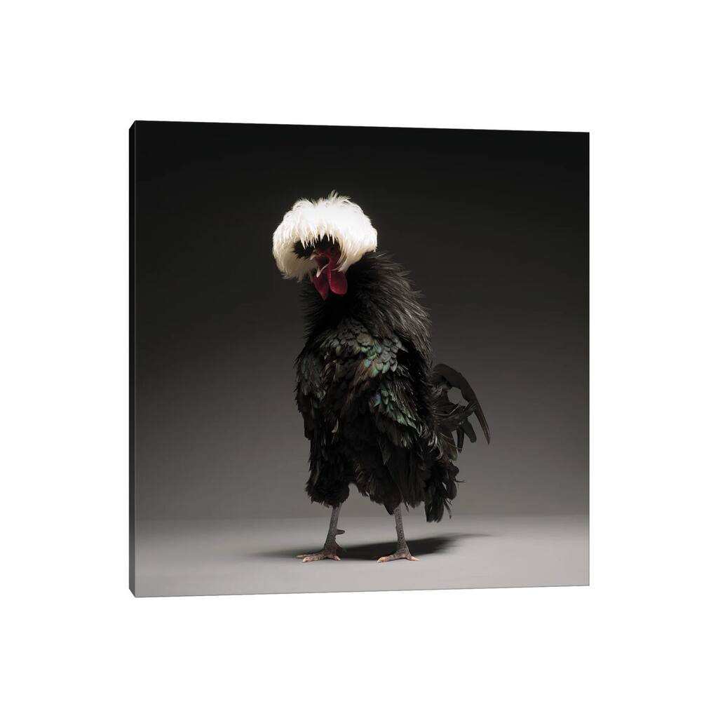 iCanvas "Black Polish Big" by CHICken Canvas Print
