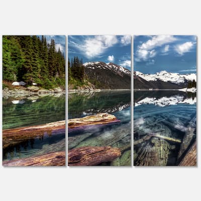 Designart 'Sunken Logs n Mountain Lake' Extra Large Landscape Art Metal Wall Art