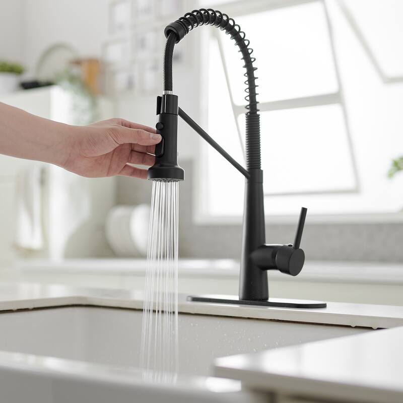WIZ Single-Handle Pull-Down Sprayer 2 Spray High Arc Kitchen Faucet