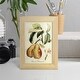 preview thumbnail 9 of 138, Printed Tuscan Fruits IV -Framed Print w/glass-Cherry Red