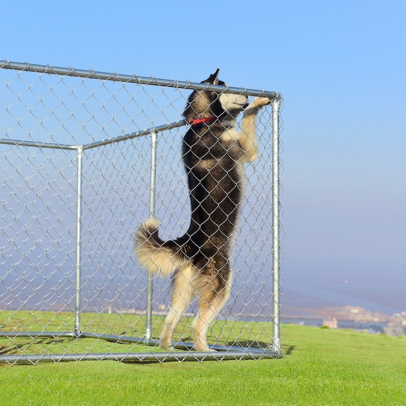 7.5' x 7.5' Pet Dog Run House Kennel