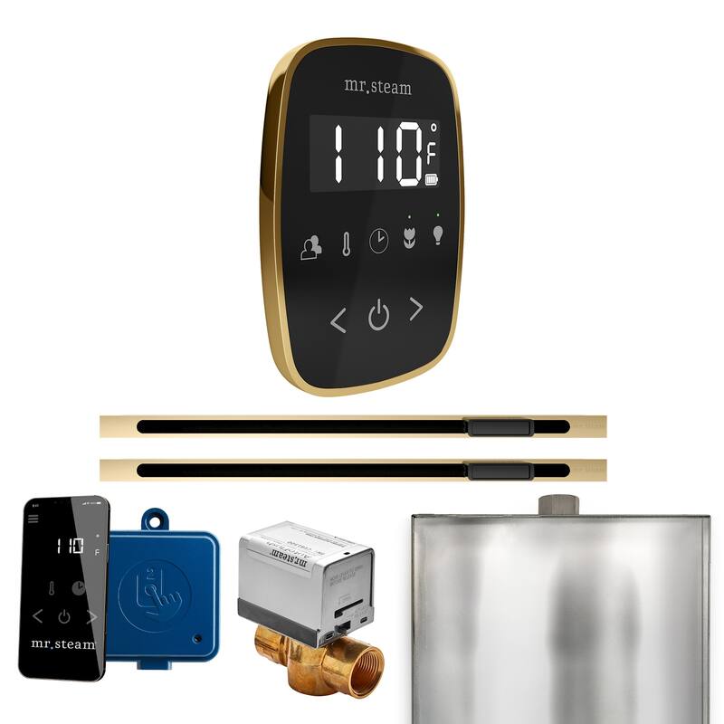Mr Steam BFXL Butler Flex Max Linear Package Steam Shower Control - Black / Polished Brass