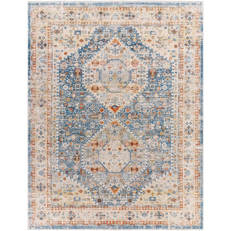Bisrat Traditional Area Rug