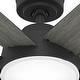 preview thumbnail 10 of 17, Hunter 52" Donatella Ceiling Fan with LED Light Kit and Handheld Remote - Transitional, Mid-Century, Modern