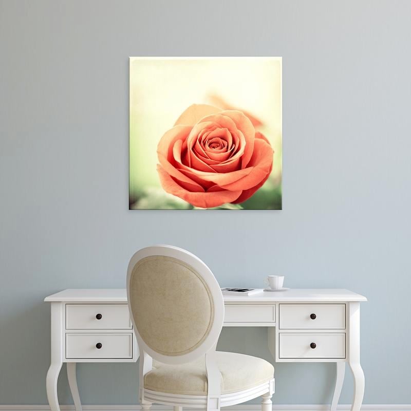 Easy Art Prints Carolyn Cochrane's 'My Perfect Rose' Premium Canvas Art