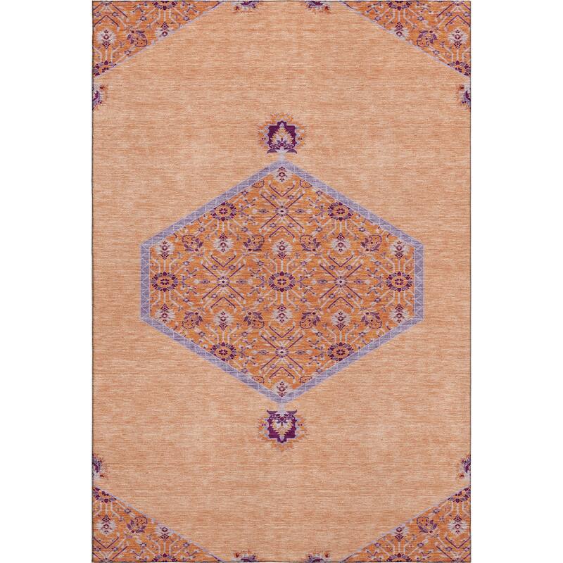 Premium Washable Super Soft Traditional Global Mayfield Rug