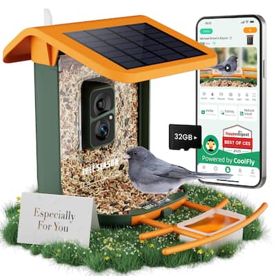Smart Solar Bird Feeder with HD Camera and Lifetime AI Identification