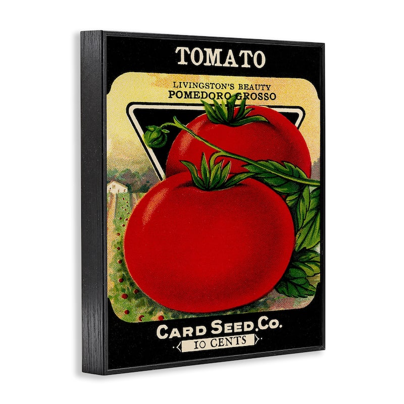 Stupell Vintage Garden Tomato Framed Giclee Art Design By Lil' Rue