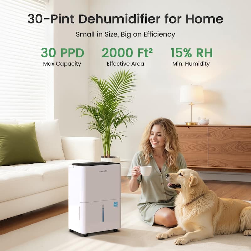 Waykar 2000 Sq. Ft Dehumidifier for Home and Basements with Auto or Manual Drainage