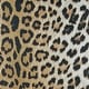 preview thumbnail 14 of 18, Dream Decor Rugs Gelato Jungle Leopard Black Beige Outdoor Area Rug