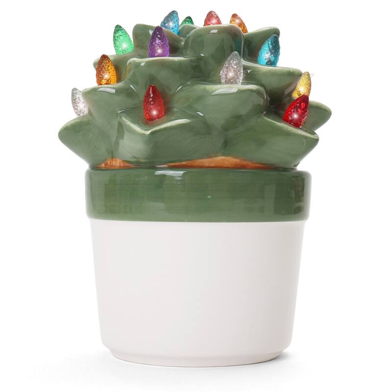 Echeveria Succulent with Multicolored Lights
