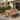 Christopher Knight Home - Outdoor Dining Set Solid Wood with Slatted Table and Bench - 6-Piece