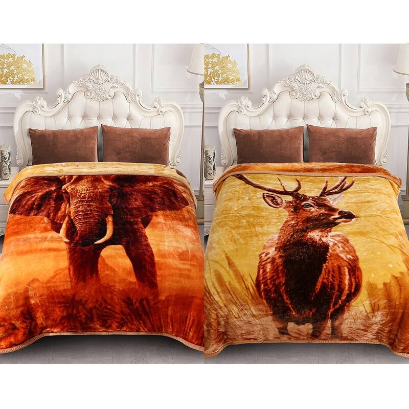 Raschel A&B Printed 2-ply Reversible Korean-style Plush Fleece Blanket