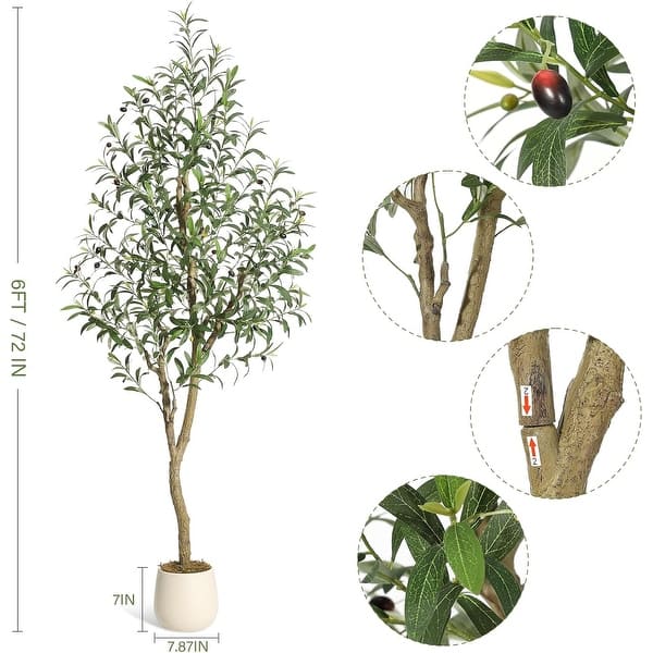 dimension image slide 2 of 3, Artificial Olive Tree, Faux Silk Plant with White Planter, Natural Trunk & Fruits for Home or Office Decor, 1 Pack