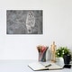 preview thumbnail 1 of 2, iCanvas "Barred Owl on Branches" by Unknown Artist Canvas Print 8x12x0.75