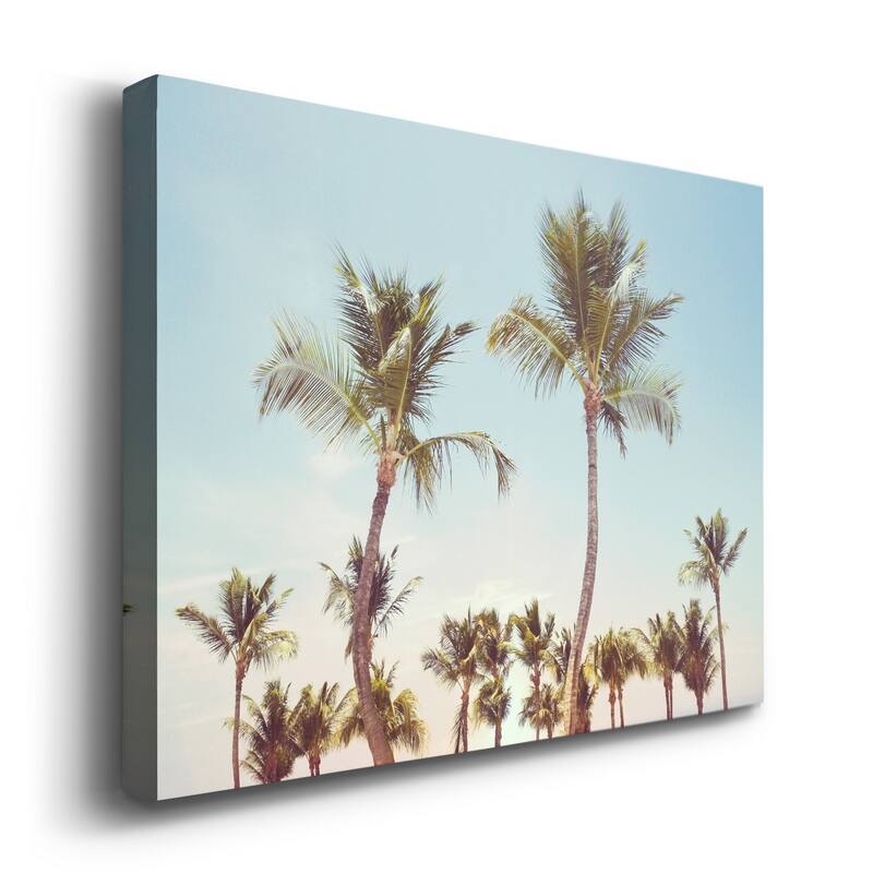 Aruba Palm Premium Gallery Wrapped Canvas - Ready to Hang