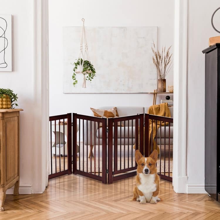 Versatile 24-Inch Folding 3-Panel Wooden Dog Fence for Custom Pet Enclosures - 81.5" x 24" x 1"