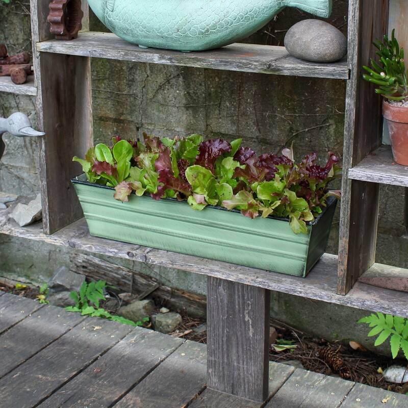 Achla Designs Small Galvanized Steel Flower Box Planter, 22 Inch Wide