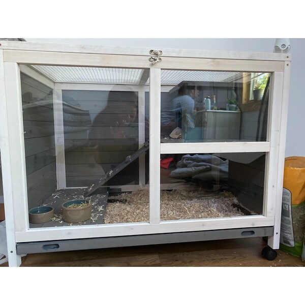 glass rabbit cage