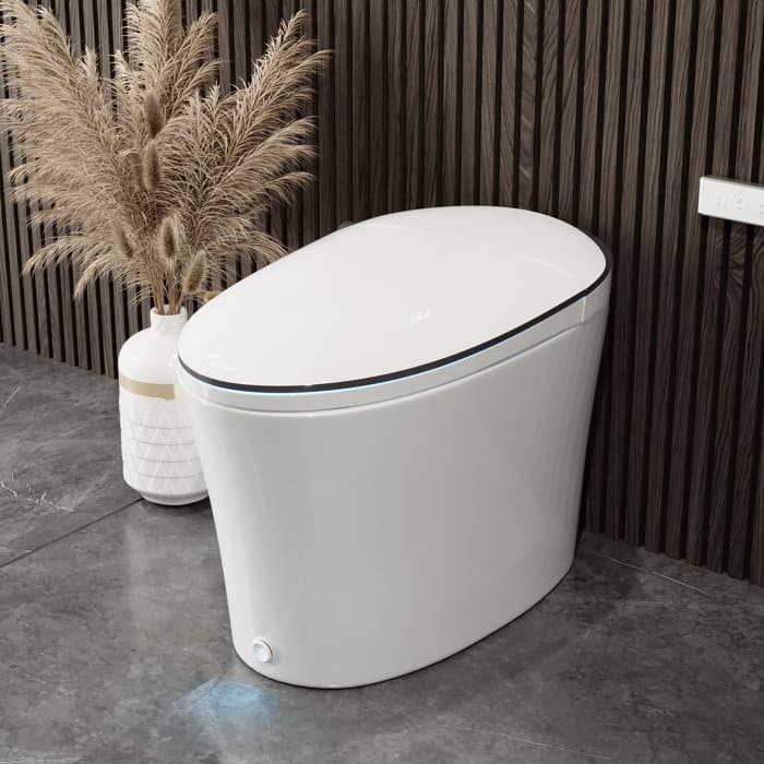 DV-1S0019-V3 Smart Bidet Elongated Toilet, Auto Open & Close, Warm Wash/Dryer