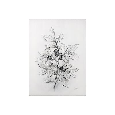 Wildberry Collection Blueberry (27 x 36) Canvas Art Print