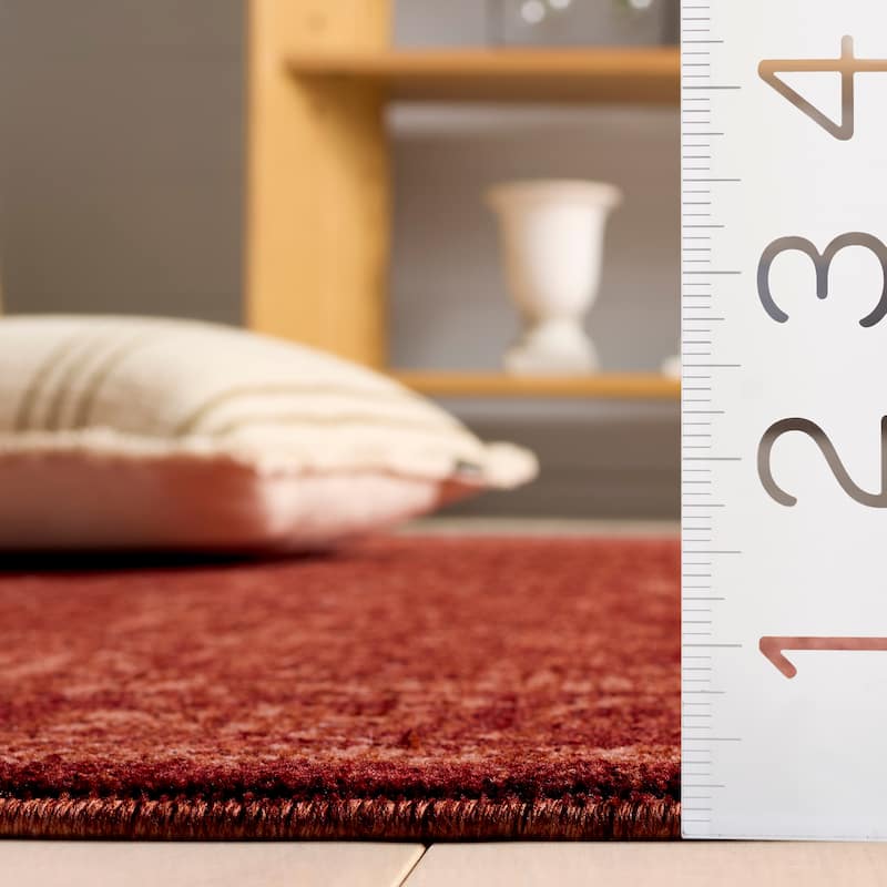 SAFAVIEH Vintage Overdye Rieka Rug