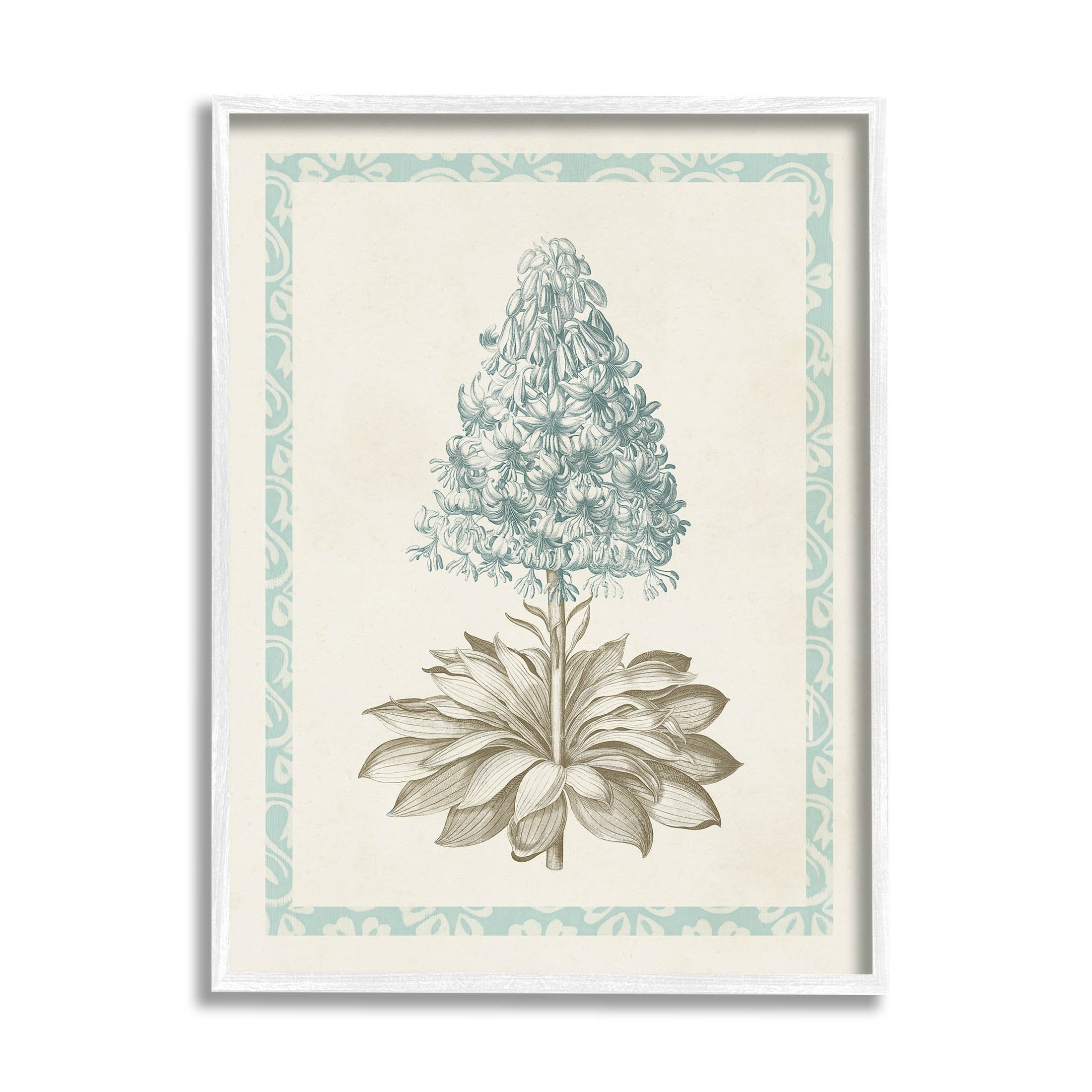 Stupell Vintage Plant Nature Study Framed Giclee Art, Design by Vision Studio