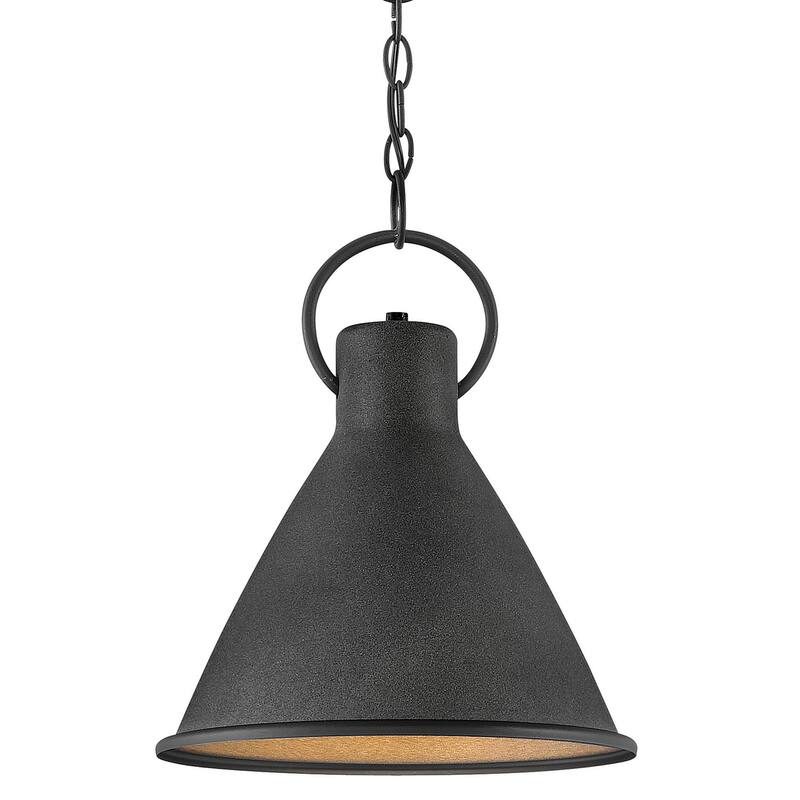 Hinkley Lighting Winnie 12" Wide Pendant - Aged Zinc / Distressed Black
